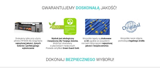 FOTOTAPETA KOLOROWE KWIATY 15B FM 104x70,5 F421