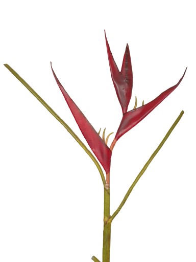 HELICONIA HELICONIA красный 125 см люкс