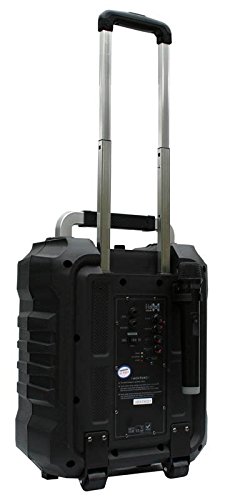 E-Lektron EL-20 Bluetooth-динамик USB/SD/FM+микрофон снят!