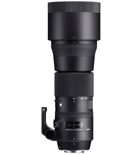 Sigma LENS C 150-600 mm f5-6.3 DG OS HSM Nikon | отличный телеобъектив