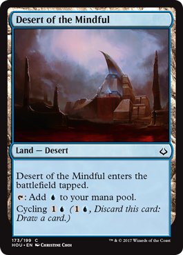 MTG 2x Desert of the Mindful