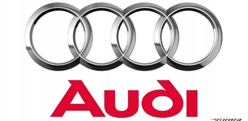 NEW CONDITION GRILLE RADIATOR GRILLE CHROME AUDI A6 B7 2011- photo 3 - milautoparts-fr.ukrlive.com